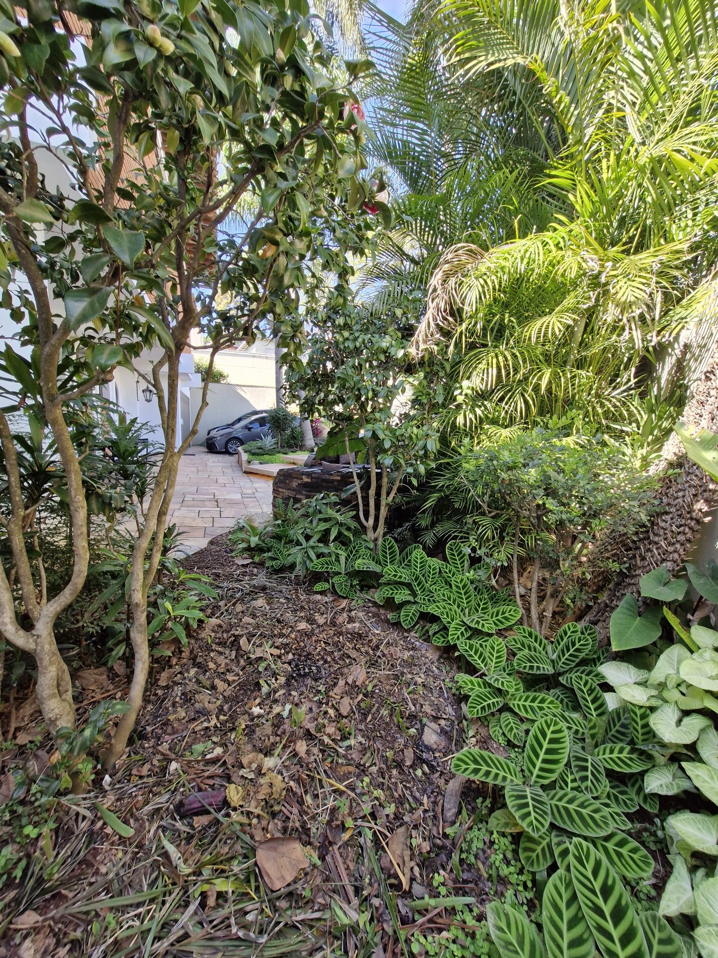 Jardim junto ao lago