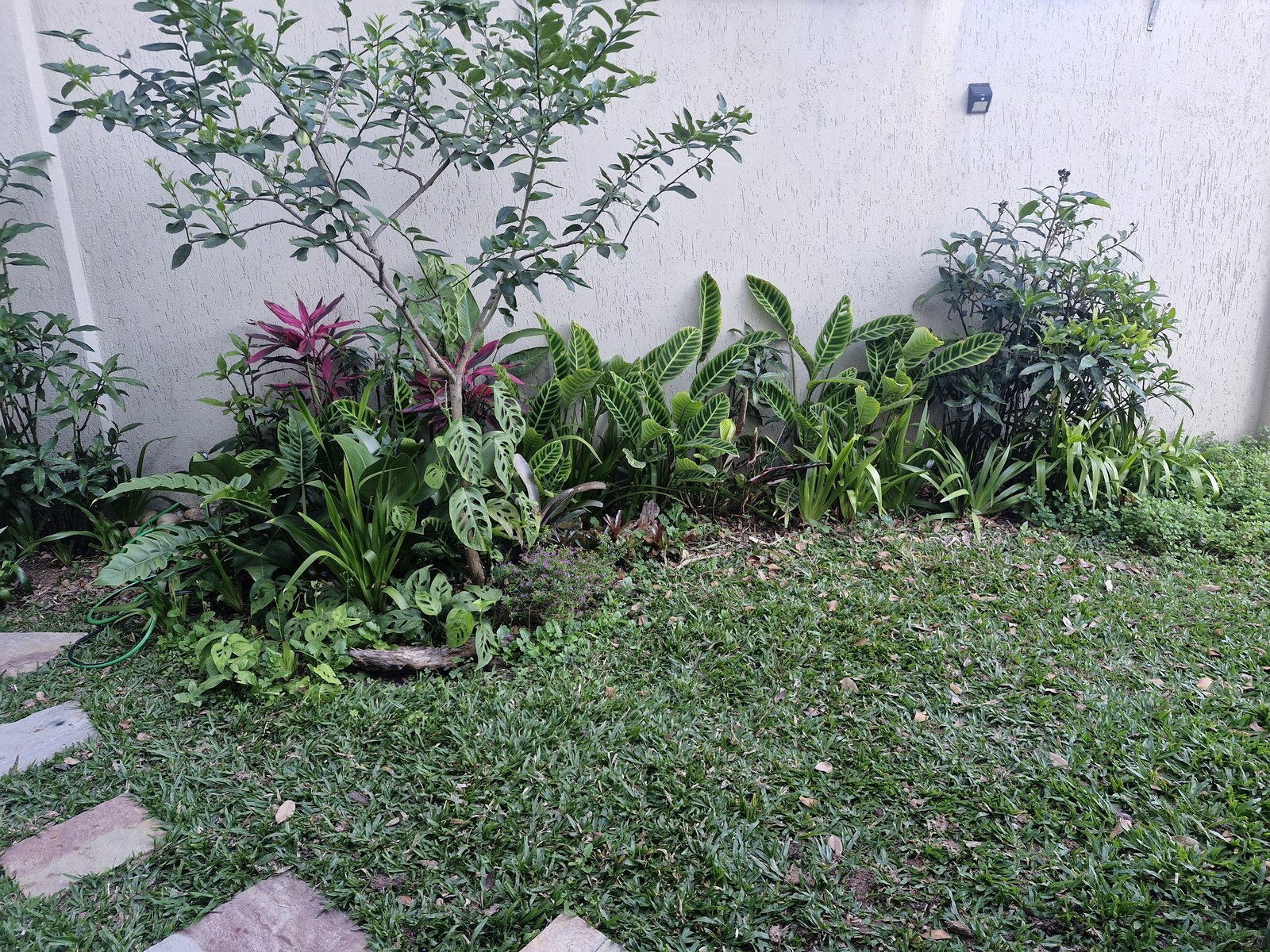 Canteiro de pomar e ornamentais