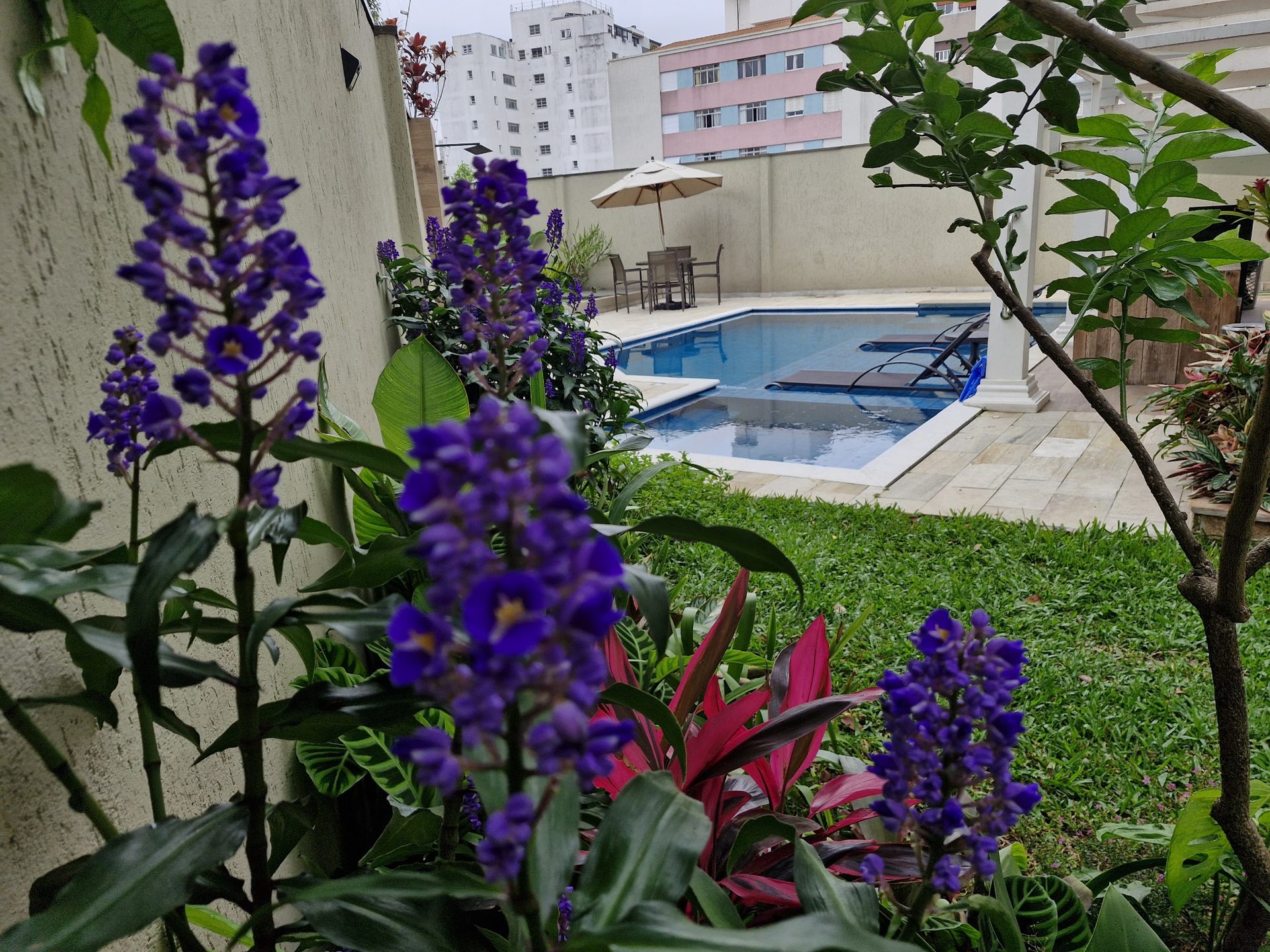 Piscina pela manhã